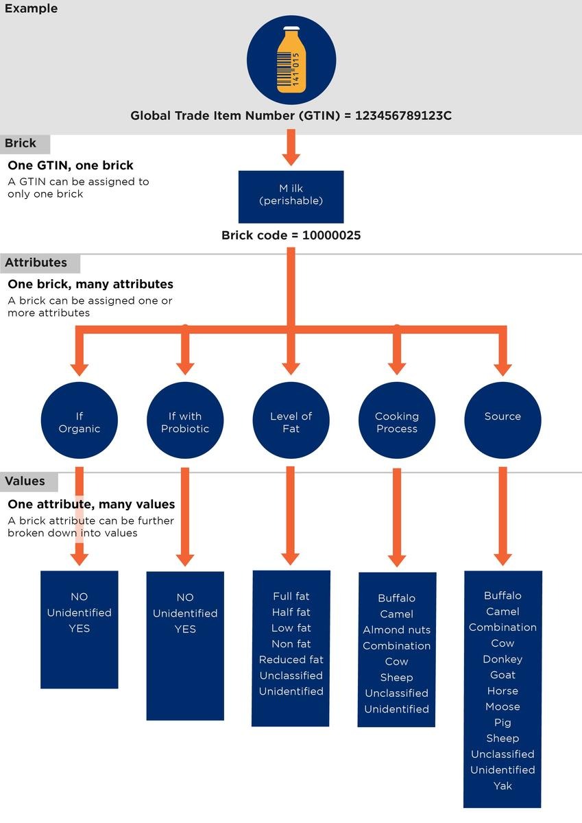 Information hierarchy for GTIN