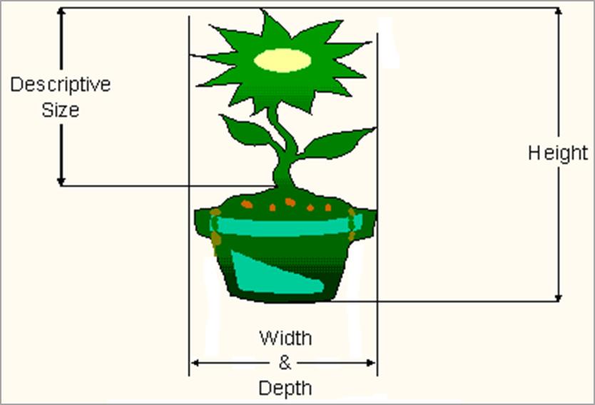 4.9 Product specific (nursery stock and building materials) measurements - Image 0