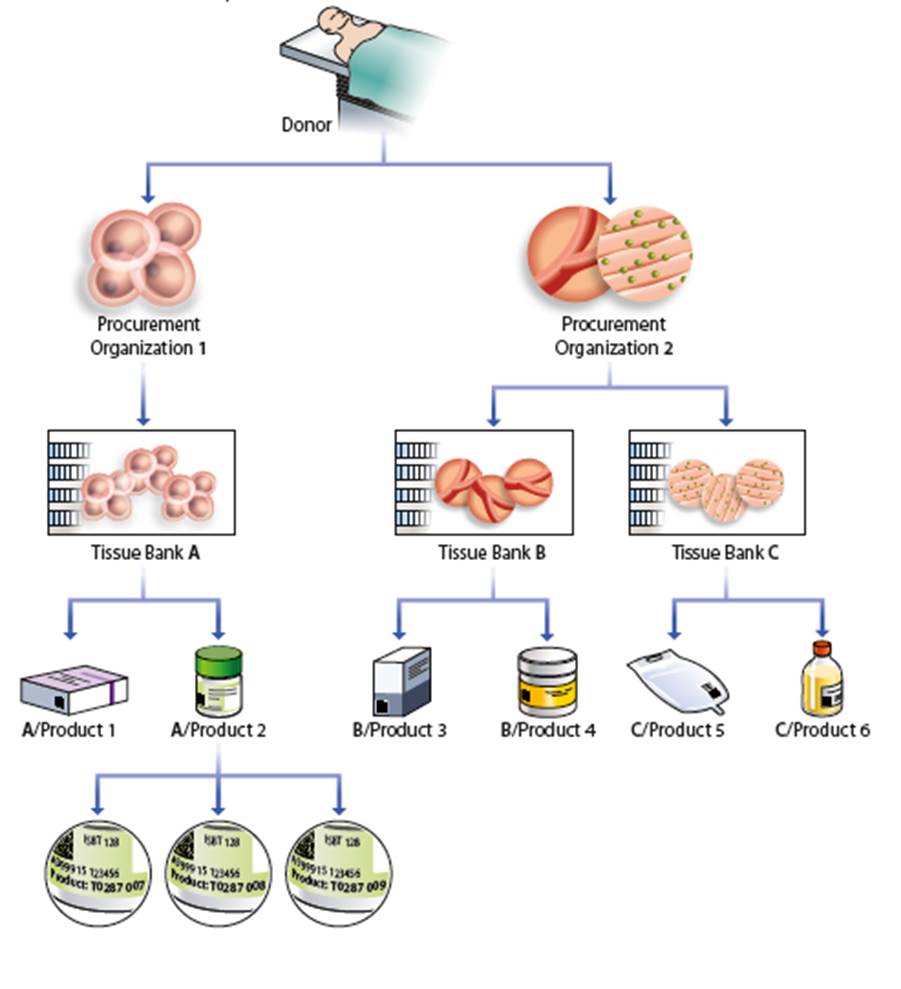 A.7 Traceability of Medical Products of Human Origin (MPHO) - Image 1